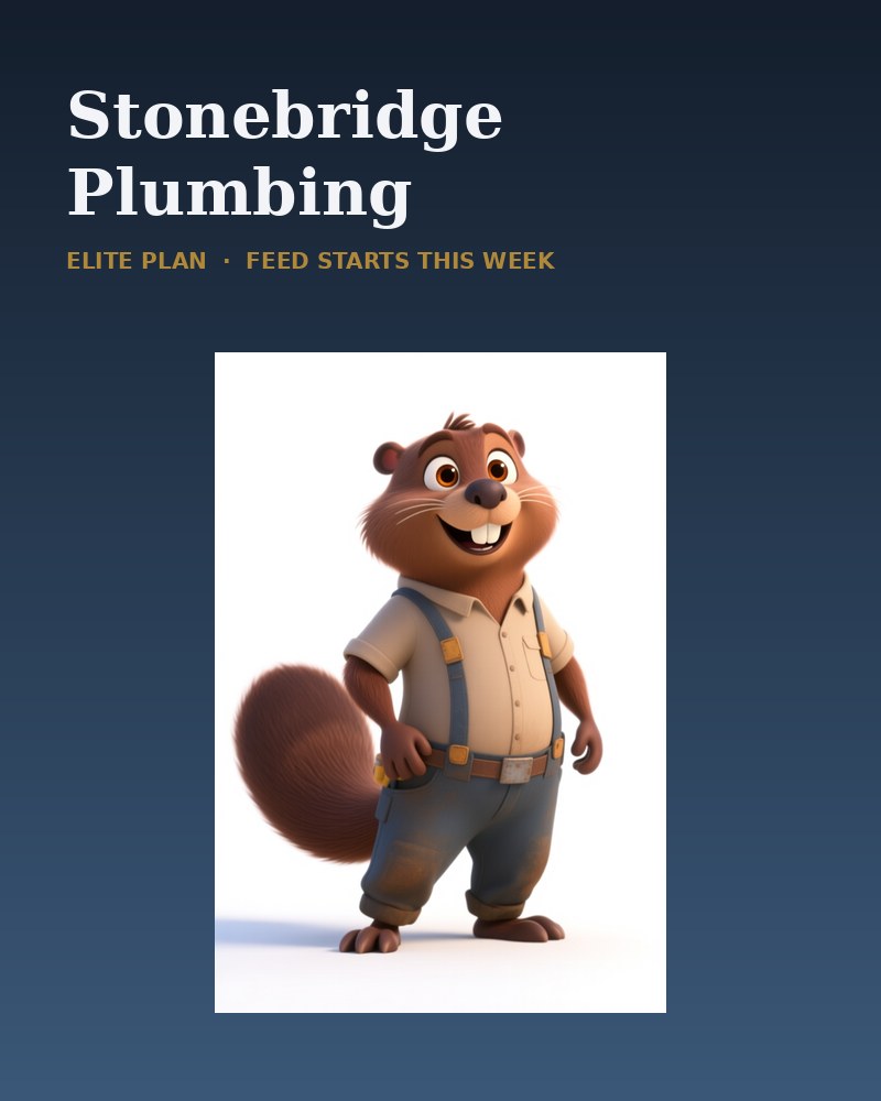 The Stonebridge beaver, Elite plan, feed starting this week